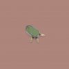 Turquoise Inlay Prickly Pear Stud- single - Image 2