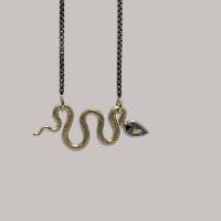 Kylene Diamond head Snake