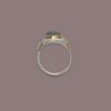 Landscape signet - Image 4